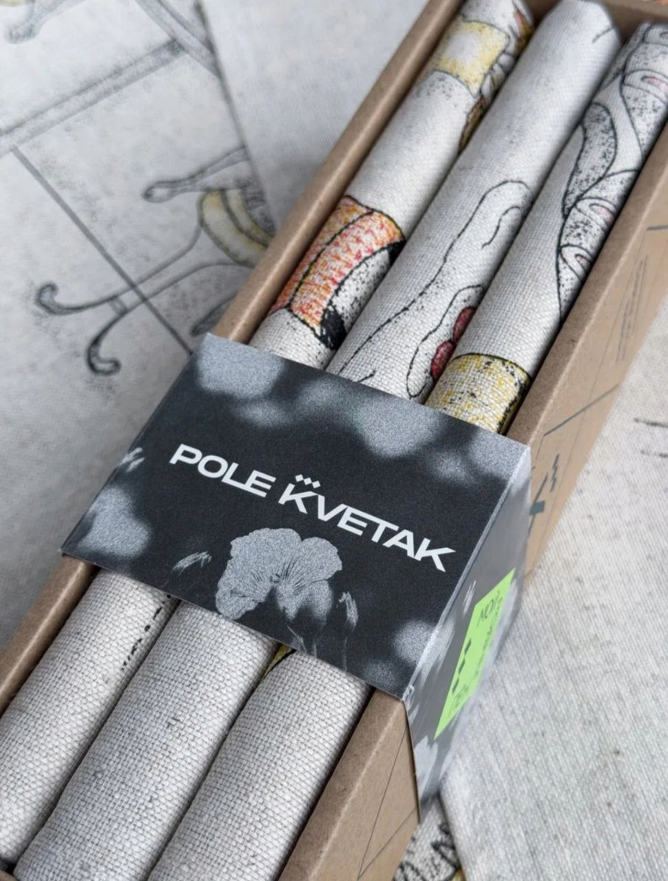 RĘCZNIK ŚCIERKA KUCHENNA LEN 46x60 KOMPLET 3 sz mur miau koty Kod producenta 24c27